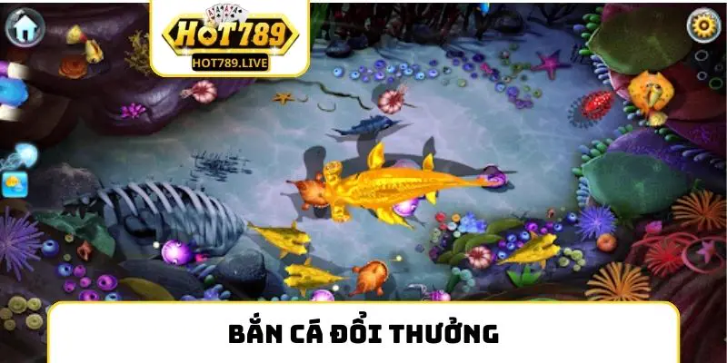 Bắn Cá Đổi Thưởng